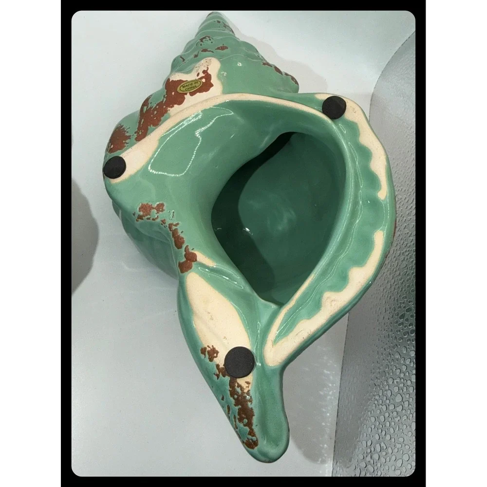 Unbranded conch shell